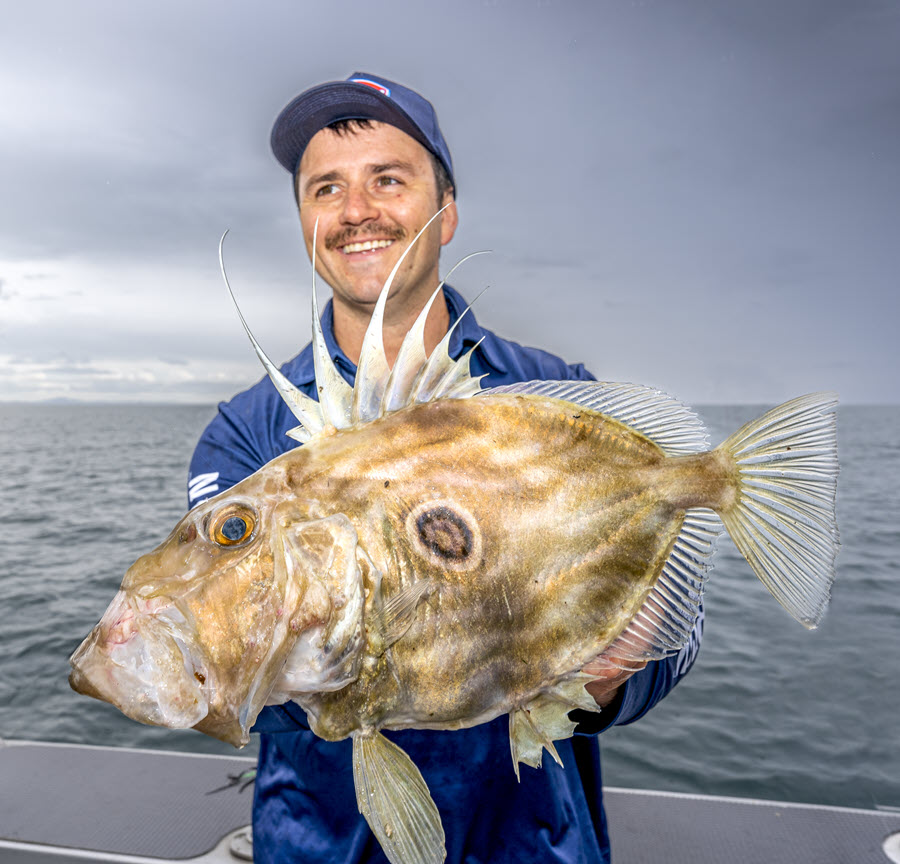 How to catch John Dory The Fishing site